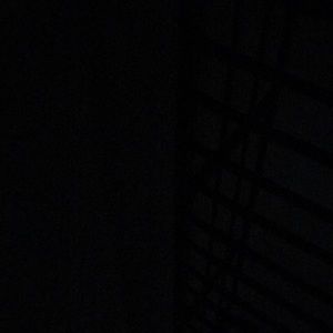 Meet your Posher, Dylan